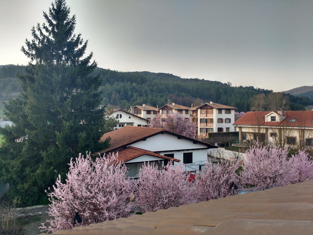 Casa Tau Vendégház Larrasoana Kültér fotó