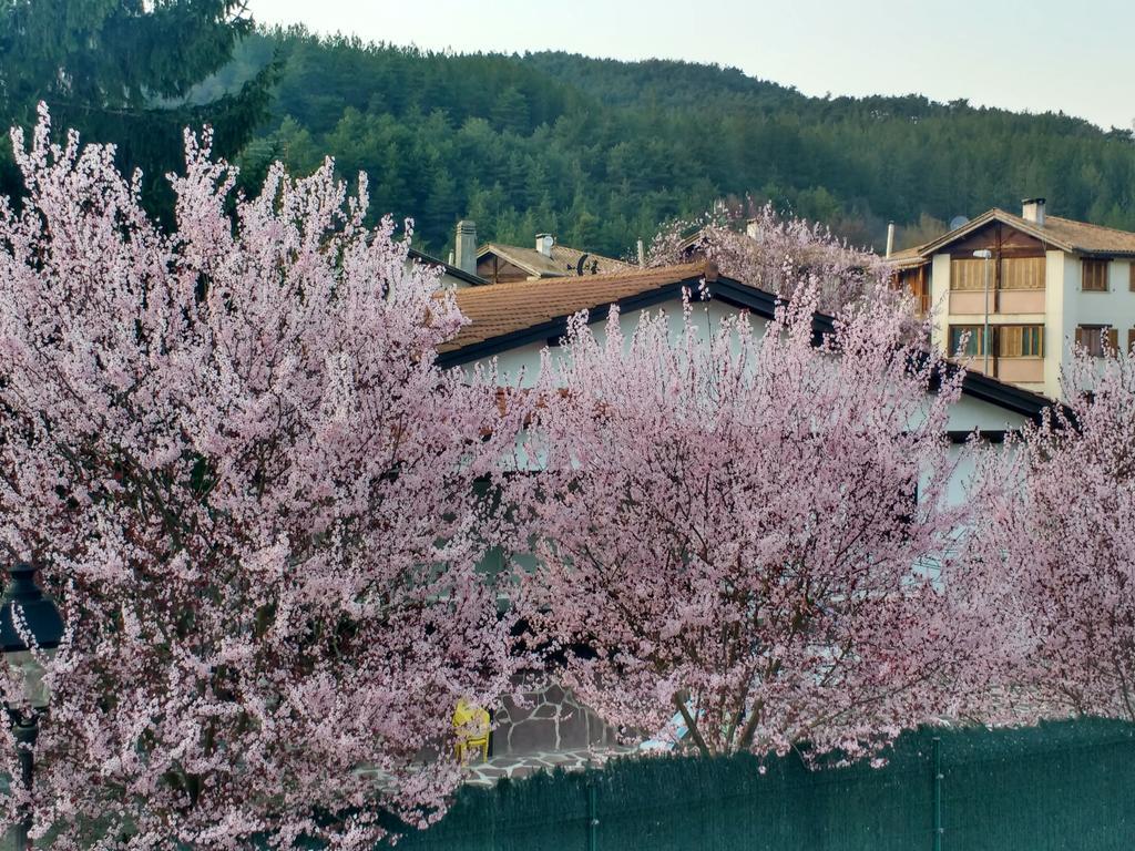 Casa Tau Vendégház Larrasoana Kültér fotó