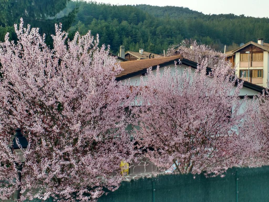 Casa Tau Vendégház Larrasoana Kültér fotó
